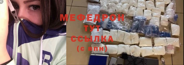 МДПВ Пересвет