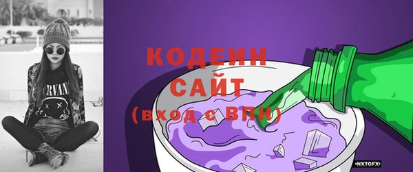 МДПВ Пересвет
