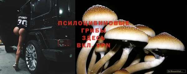 амф Покровск