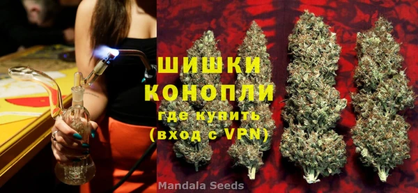 МДПВ Пересвет