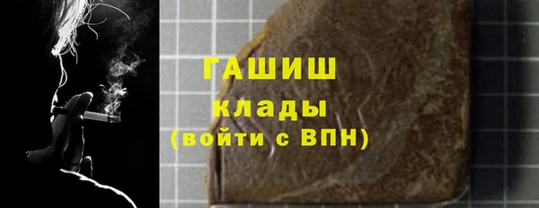 МДПВ Пересвет