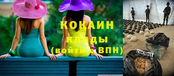 МДПВ Пересвет