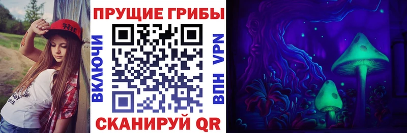 Псилоцибиновые грибы прущие грибы  купить наркотик  Зубцов 